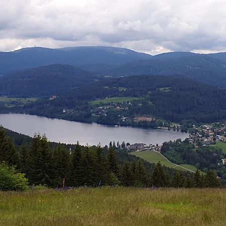 Friedolin Im Baerenhuesli Lägenhet Titisee-Neustadt Exteriör bild